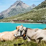 Corte Rossa Tirano