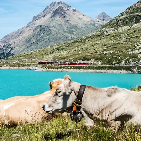 Corte Rossa 티라노