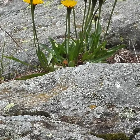 Alojamento de Acomodação e Pequeno-almoço Corte Rossa Tirano